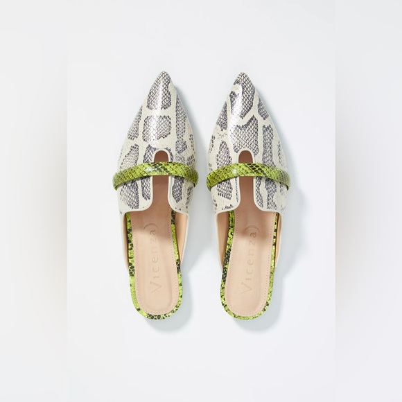 Anthropologie Shoes - ANTHROPOLOGIE Vicenza Snake Slides Size 9